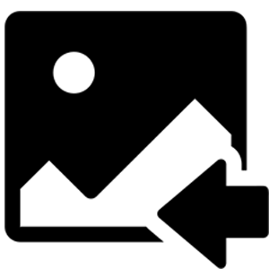 Website Icon