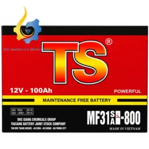 Ắc Quy TS MF31A-800 (12V-100Ah)