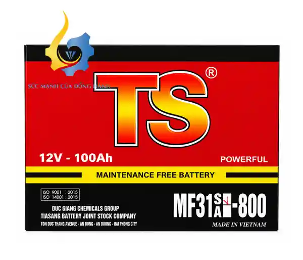 Ắc Quy TS MF31A-800 (12V-100Ah)