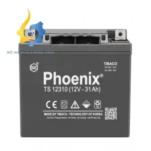 Ắc Quy PHOENIX TS12310 (12V-31Ah)
