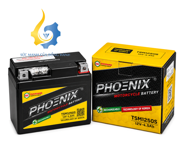 Ắc Quy PHOENIX TSM1250S (12V-4.5Ah)