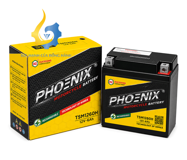 Ắc Quy Xe Máy PHOENIX TSM1260H (12V-6Ah)